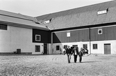 Besökare utanför stallet på Karlslunds herrgård, 1983