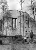 Riseberga klosterruin, 1954