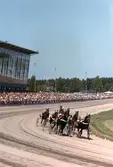 Lopp på Örebro travbana, 1980-tal