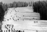 Utförsåkning i Nytorpsbacken i Gillersklack, 1960-tal