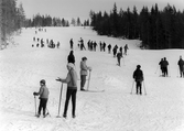 Skidåkare tar sig uppför Nytorpsbacken, 1960-tal