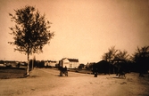 Akensgatan mot väster från Oskarstorget, 1903