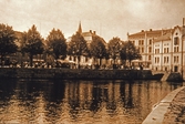 Torghandel på Fisktorget, 1902