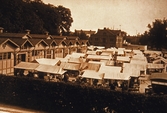 Saluhallen vid Hamnplan, 1903
