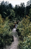 Vandringsled i Kilsbergen, 1970-tal