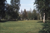 Park, 1979