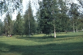 Park, 1979