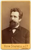 Porträtt på Carl Erik Hedlund  född 29 september år 1834 i Ockelbo död 11 maj år 1918. Överingenjör vid Husqvarna Vapenfabrik.