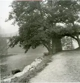 Västerås.
Skarpskyttebron.