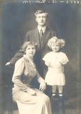 Familjen Pettersson i USA, 1913