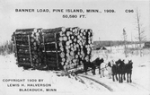 Timmerkörning med häst i Pine Island, Minnesota, USA, 1909