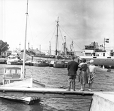 En man och två kvinnor tittar på fartyget 