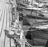 En pojke på kajen i Öregrunds hamn