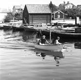 Motorbåtar i Öregrunds hamn
