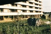 Stenbumling i Brickebacken, 1972-09-28