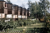 Hus i Vivalla, 1970-tal