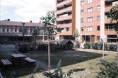 Trädgård på Tunnbindargränd, 1970-tal