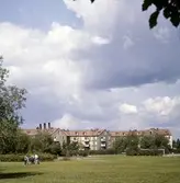 Rostaparken, 1960-tal