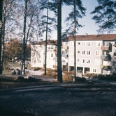 Hus i Baronbackarna, 1960-tal