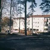 Hus i Baronbackarna, 1960-tal