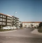 Hus i Baronbackarna, 1960-tal
