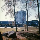 Baronbackarnas centrum, 1960-tal