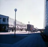 Baronbackarnas centrum, 1960-tal