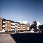 Hus i Norrby, 1960-tal