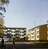 Hus i Norrby, 1960-tal