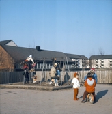 Gungor i Tarzanparken, 1960-tal