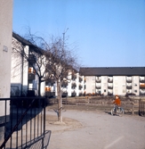 Hyreshus i Tybble, 1960-tal