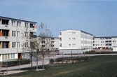 Hus i Markbacken, 1960-tal