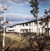 Hus i Oxhagen, 1960-tal