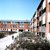 Hus i Varberga, 1960-tal