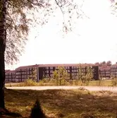 Hus i Baronbackarna, 1960-tal