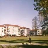 Hus i Baronbackarna, 1960-tal