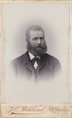 Porträtt av en man med skägg i Hudiksvall, cirka 1905