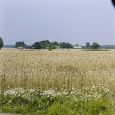 Järns kyrka