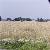 Järns kyrka