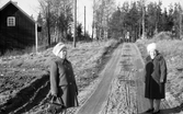 Damer på promenad i Mosås, 1974