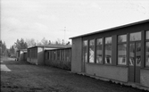 Gräsmatta vid Lillåns skola, 1974
