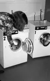 Tvättmaskiner på Rostahemmet, 1974