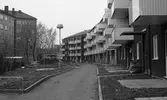 Gårdsinteriör på Engelbrektsgatan, 1974