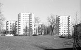 Höghus på Majorsgatan, 1974
