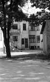 Vårdträd vid rivningshus på Ekersgatan, 1974
