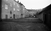 Gårdsbild med staket och uthus på kvarteret Lärkan, 1974