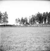 Gravfält, Köping sf Sylta 1:7 RAÄ 39.