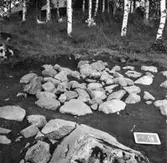 Gravfält, Köping sf Sylta 1:7 RAÄ 39.