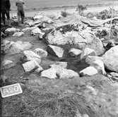 Gravfält, Köping sf Sylta 1:7 RAÄ 39.