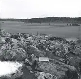 Gravfält, Köping sf Sylta 1:7 RAÄ 39.